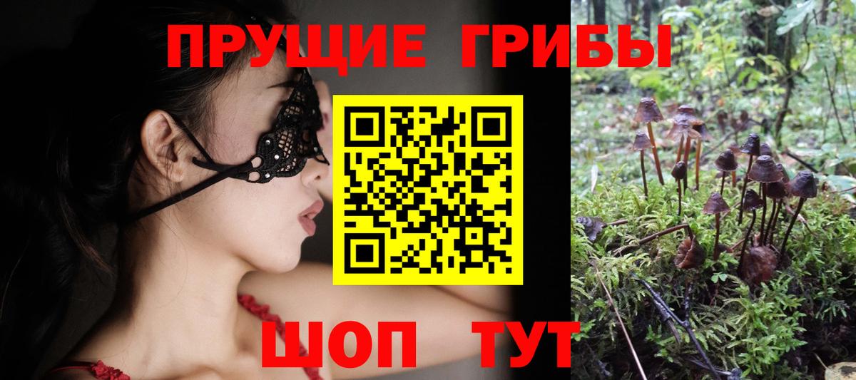 Ирбит  Псилоцибиновые грибы GOLDEN TEACHER  Вход с VPN 