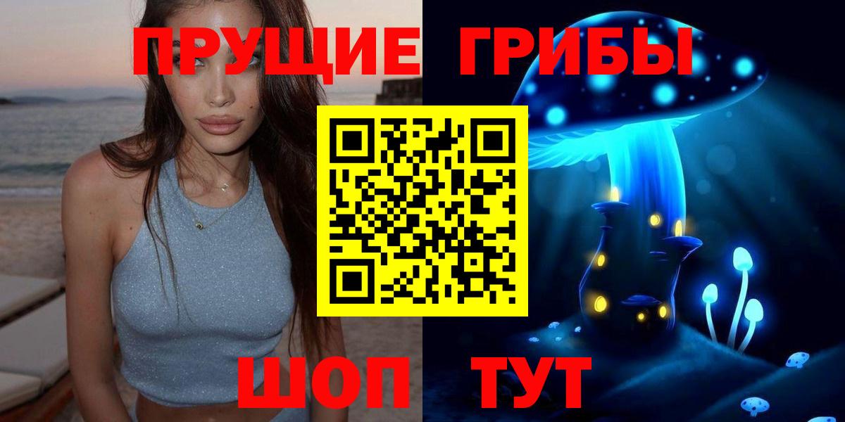 Галлюциногенные грибы Psilocybe Ирбит